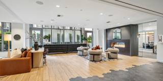 Premiere on Pine Gallery 25