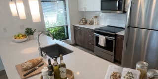 The Verge Gallery 21