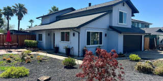 Living on the Lake Living on the Lake Gallery 1