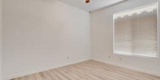 8401 Desert Quail Drive Gallery 44