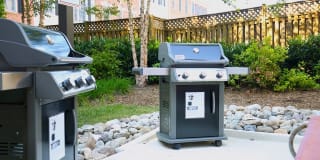 Thomas Court Gallery 12