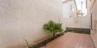 7277 Bindweed Road Gallery 26