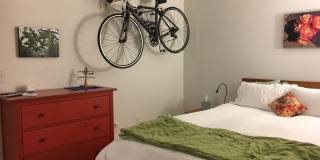 Lovely 1bd. Ground-Level Condo in Cotati Gallery 16