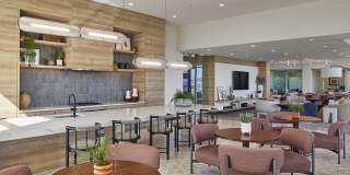 Skye on 6th Gallery 9