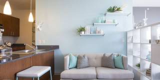 LPM Apartments Gallery 3