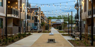 Sutter Green II Gallery 17