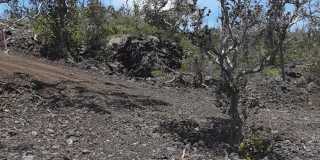 92-2418 Lei Parkway Gallery 1