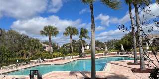 10265 Gandy Boulevard North - 11709 Gallery 21