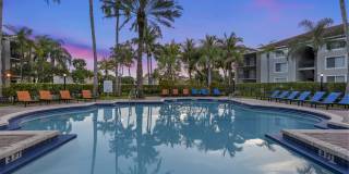 Coral Vista Gallery 26