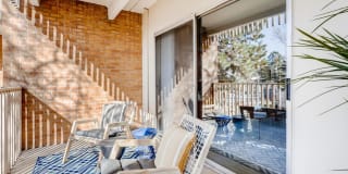 Elm at Panorama Gallery 9