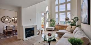 Palazzo West Gallery 7