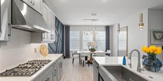 33875 CASTAWAY Loop Gallery 19