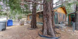 39438 Ruby Lane Gallery 20