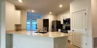 339 PUMA LOOP Gallery 3