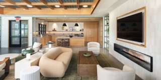 Alta Rochelle Gallery 18