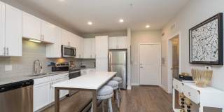 The Aster Gallery 17