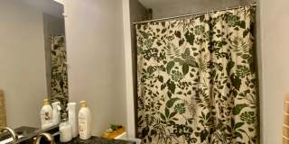 Awesome 4 bed 2 bath in Cambridge.... Gallery 36