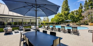 Sofi Ocean Hills Gallery 21