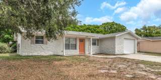 Charming 2BD/2BTH Updated Home in Port Richey Gallery 4