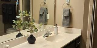 4951 DAFFODIL DR. Gallery 9