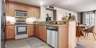 Renaissance Square Gallery 10