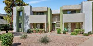 Lemon & Pear Tree Apartments Gallery 15