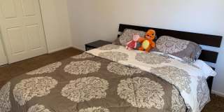 615 Alpha CT Gallery 3