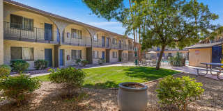 Sonoran Palms Gallery 15