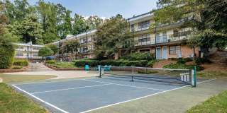 Selwyn Flats Gallery 29