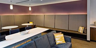 AVA Back Bay Gallery 33