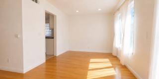 12245 Shady Hollow Ln Gallery 10