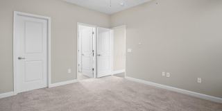 5151 Foxtail Pine Street Gallery 24