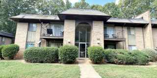 Updated, spacious 1st floor - 1 Bed, 1 Bath Condo close to Lynx Blue line, shopping, restaurants Gallery 1