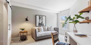 Sofi at Salem Station Gallery 8