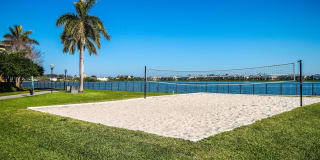 Palm Trace Landings Gallery 4