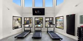 Cortland Scottsdale Mountain Gallery 12