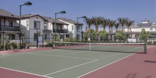 Homecoming at The Preserve Gallery 64