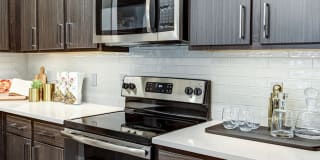 Icon Apartment Homes at Ferguson Farm Gallery 2