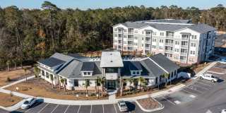 Waterleaf at Salt Creek Gallery 40