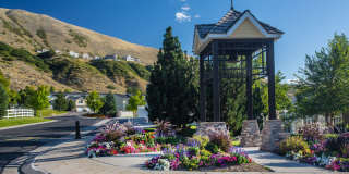 Liberty Hill Gallery 14