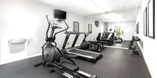 Meadow Wood Gallery 26