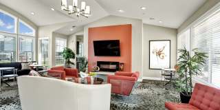 Solara Gallery 21
