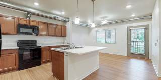 Melbourne Gallery 20