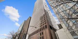 161 E Chicago Avenue unit: 31E Gallery 1