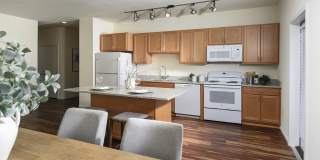 Juniper Square - 55+ Active Adult Apartment Homes Gallery 26