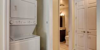 Boca Raton Gallery 45