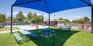 Icon on Stella Gallery 20