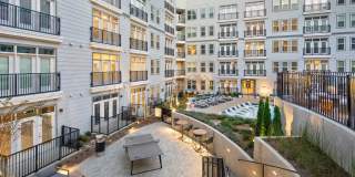 Vine North Hills Gallery 37