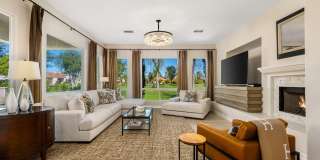 78980 Citrus Gallery 2