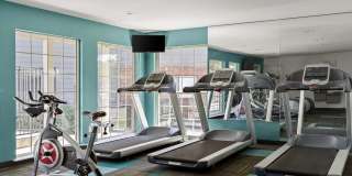 Verona Apartment Homes Gallery 17